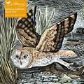 Adult Sustainable Jigsaw Puzzle Angela Harding: Marsh Owl: 1000-pieces. Ethical, Sustainable, Earth-friendly