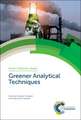 Challenges in Green Analytical Chemistry