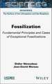 Fossilization