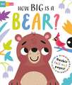 How Big is a Bear?