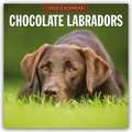 Chocolate Labrador Retrievers - Schokoladenbraune Labrador Retriever 2025 - 16-Monatskalender