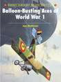 Balloon-busting Aces of World War 1