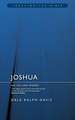 Joshua: No Falling Words