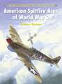 American Spitfire Aces of World War 2