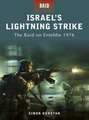 Israel's Lightning Strike: The Raid on Entebbe 1976