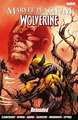 Marvel Platinum: The Definitive Wolverine Reloaded