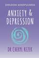 Sheldon Mindfulness: Anxiety and Depression