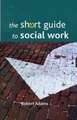 The Short Guide to Social Work