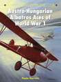 Austro-Hungarian Albatros Aces of World War 1