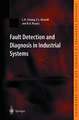 Fault Detection and Diagnosis in Industrial Systems