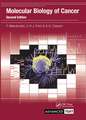 Molecular Biology of Cancer