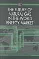 The Future of Natural Gas in the World Energy Market