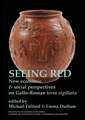 Seeing Red: New economic and social perspectives on Gallo-Roman terra sigilata (BICS Supplement 102)