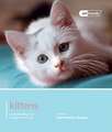 Kitten: Understanding and Caring for Your Pet