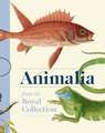 Animalia
