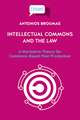 Intellectual Commons and the Law: A Normative Theory for Commons-Based Peer Production