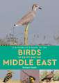 Hoath, R: Naturalist's Guide to the Birds of Egypt and the M