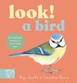 Look! A Bird!