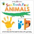 See, Touch, Feel
