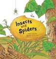 Insects and Spiders: Insects and Spiders