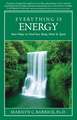 Everything Is Energy: New Ways to Heal Your Body, Mind and Spirit