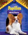 Papillon: Monsieur Butterfly