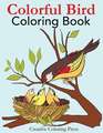 Colorful Bird Coloring Book