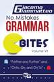 No Mistakes Grammar Bites, Volume VII