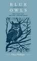 Blue Between Owls