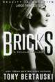 Bricks (Large Print Edition)