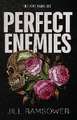 Perfect Enemies