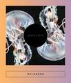 Splendor: Trans Poets