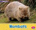 Wombats