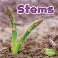 Stems