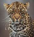 Remembering Leopards