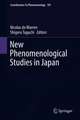 New Phenomenological Studies in Japan