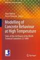 Modelling of Concrete Behaviour at High Temperature: State-of-the-Art Report of the RILEM Technical Committee 227-HPB