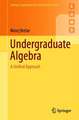 Undergraduate Algebra: A Unified Approach