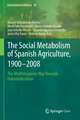 The Social Metabolism of Spanish Agriculture, 1900–2008: The Mediterranean Way Towards Industrialization