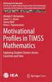 Motivational Profiles in TIMSS Mathematics: Exploring Student Clusters Across Countries and Time