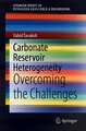 Carbonate Reservoir Heterogeneity: Overcoming the Challenges 