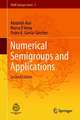 Numerical Semigroups and Applications