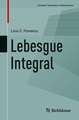 Lebesgue Integral