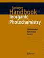 Springer Handbook of Inorganic Photochemistry