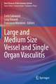 Large and Medium Size Vessel and Single Organ Vasculitis