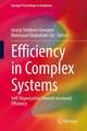 Efficiency in Complex Systems: Self-Organization Towards Increased Efficiency