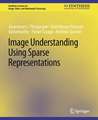 Image Understanding using Sparse Representations