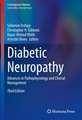 Diabetic Neuropathy: Advances in Pathophysiology and Clinical Management