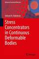 Stress Concentrators in Continuous Deformable Bodies