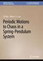 Periodic Motions to Chaos in a Spring-Pendulum System